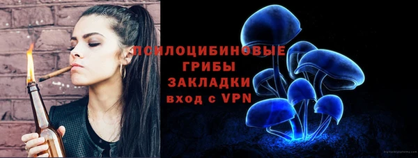 ешки Медвежьегорск