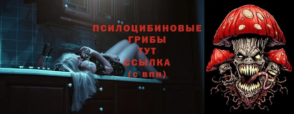 ешки Медвежьегорск