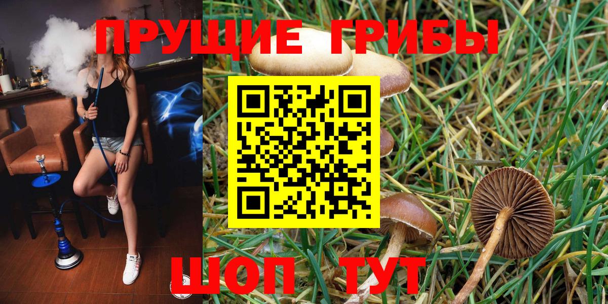 Псилоцибиновые грибы ЛСД  Вход с VPN  Белореченск 